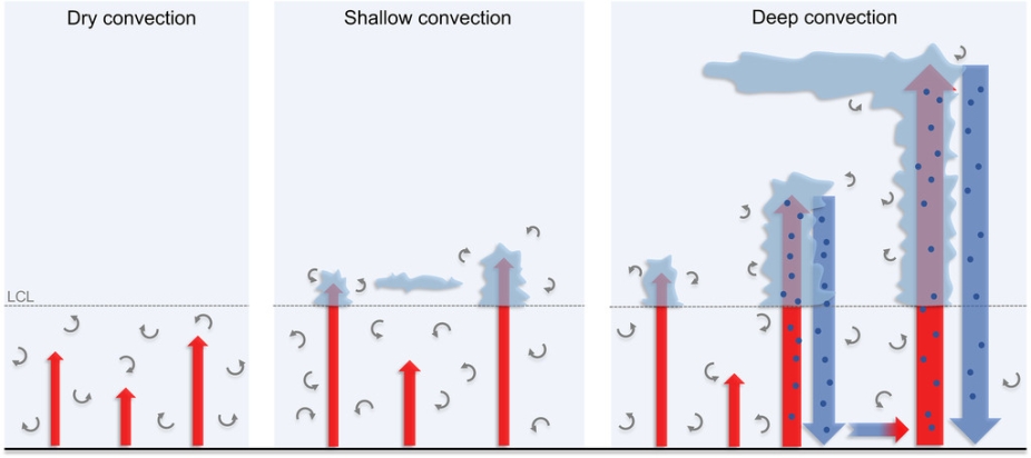 Schematic of three archetypes of convection as represented by the EDMF model