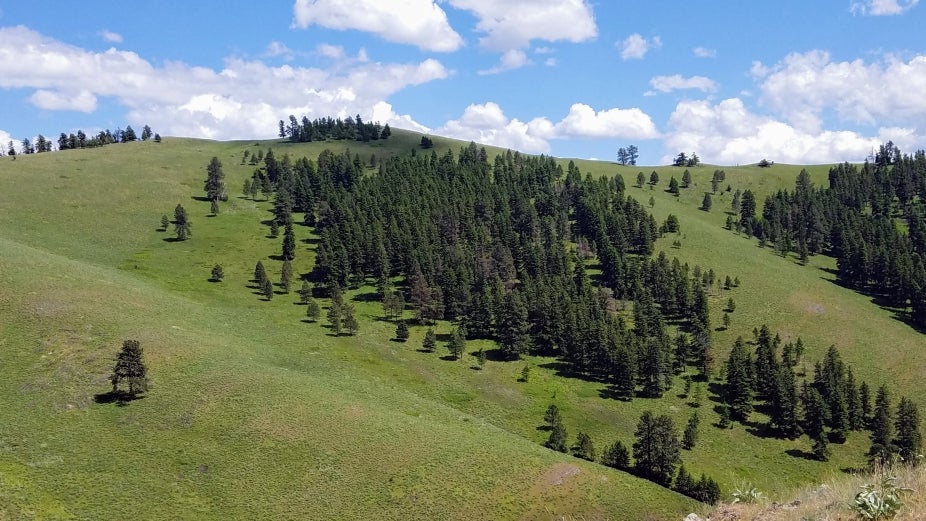 Photograph of mountain hillslope