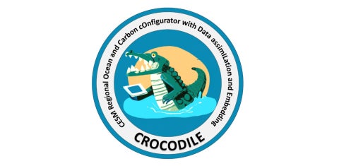Crocodile