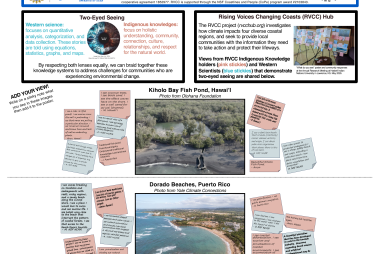 What do you see? An exploration of two-eyed seeing for coastal environmental change