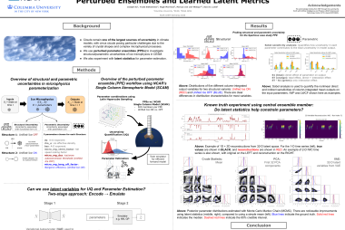 Constraining Errors in Ice Microphysics Schemes with Perturbed Ensembles and Learned Latent Metrics